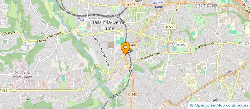 localisation de l'entreprise IMPRIMERIE BORNUAT  TASSIN-LA-DEMI-LUNE