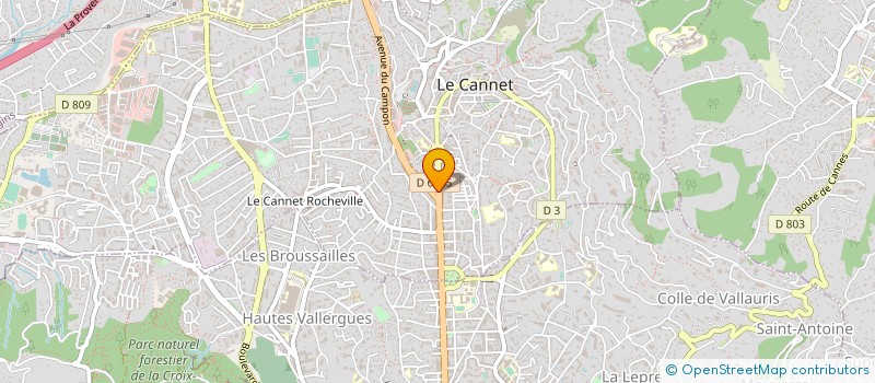 localisation de l'entreprise IMPRIMERIE COPY SERVICE à LE CANNET