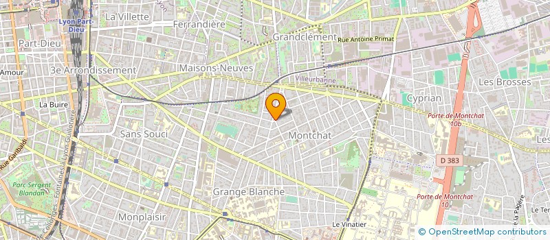 localisation de l'entreprise IMPRIMERIE MONTCHAT  LYON