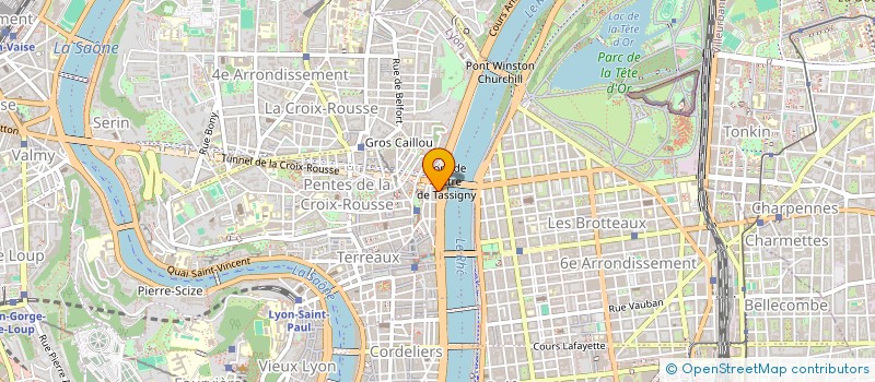 localisation de l'entreprise IMPRIMERIE ROUDIL FRERES ET COMPAGNIE à LYON