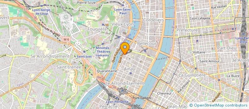 localisation de l'entreprise IN IPSO  LYON