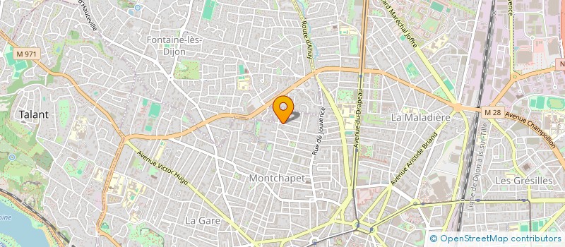 localisation de l'entreprise IN VIMMO VERITAS à DIJON