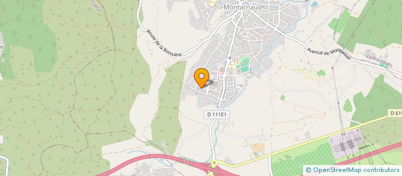 localisation de l'entreprise INAYA EDEN  MONTARNAUD