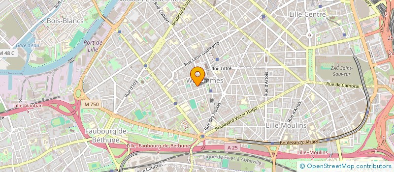 localisation de l'entreprise IND THUAUDET CHRISTOPHE ET MATHILDE à LILLE