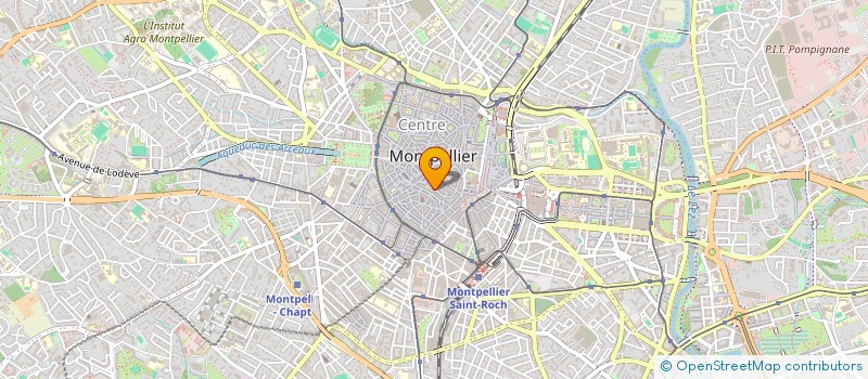 localisation de l'entreprise INDI VOGEL à MONTPELLIER