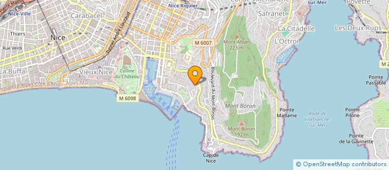 localisation de l'entreprise INDIGO PINEAPPLE  NICE