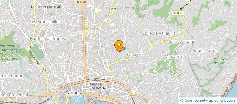 localisation de l'entreprise INDIV DIDELOT JEAN-FRANCOIS ET VERMER CHARLOTTE  CANNES