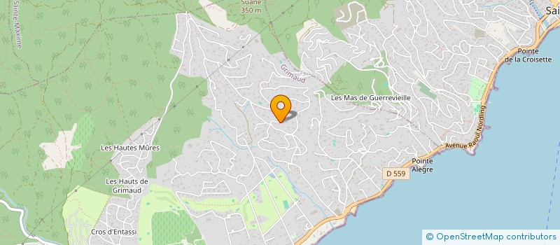 localisation de l'entreprise INDIV DUPONT PAMUKELLI  GRIMAUD