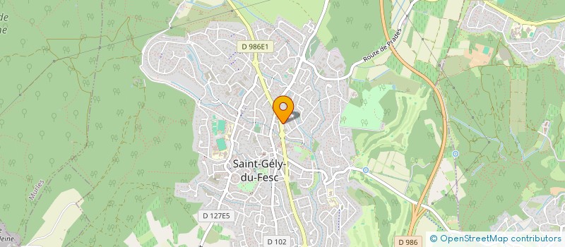 localisation de l'entreprise INDIV FOURNIER JACQUES  SAINT-GELY-DU-FESC