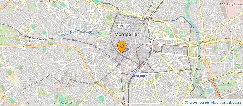 localisation de l'entreprise INDIV LARRIEU MANGIN  MONTPELLIER