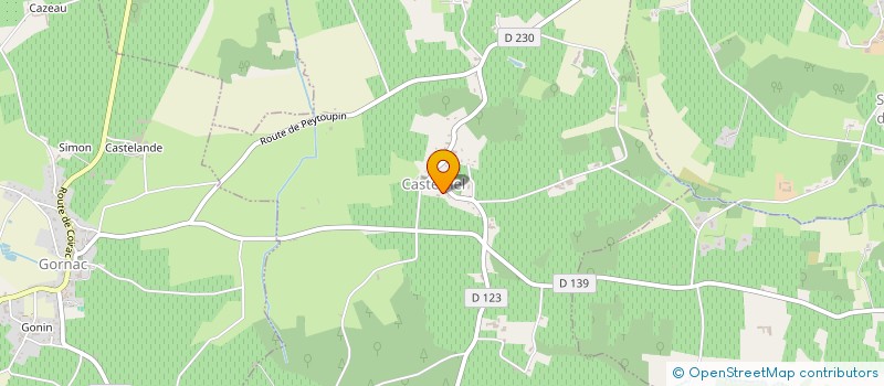 localisation de l'entreprise INDIV ROUBINEAU-CHENIEUX  BLASIMON