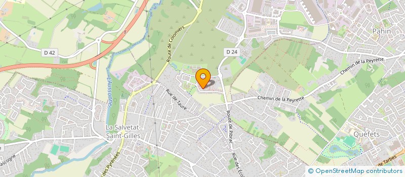 localisation de l'entreprise INDIVISION ALBERO ABREU  PLAISANCE-DU-TOUCH