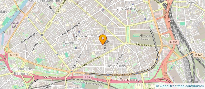 localisation de l'entreprise INDIVISION ALEXANDRA KNOFFEL MAXIME DELBERGHE  LILLE