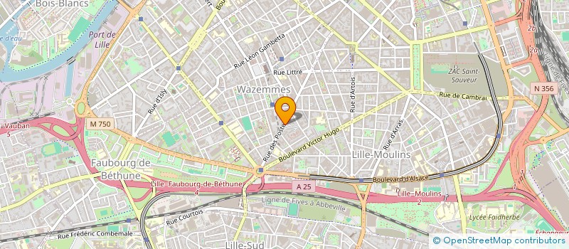 localisation de l'entreprise INDIVISION ALVADO-BRETTE TIMOTHEE ET EIRA à LILLE
