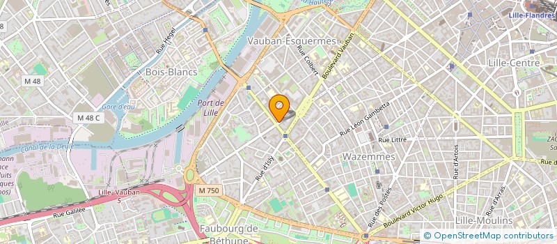 localisation de l'entreprise INDIVISION AMOUREUX à LILLE