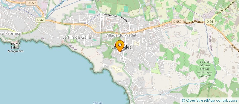 localisation de l'entreprise INDIVISION ANTHONY TELMARD ANGELIQUE ROY  LE PRADET