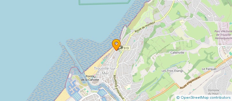 localisation de l'entreprise INDIVISION ARONOVICI-CHASTRES LEBON à TROUVILLE-SUR-MER