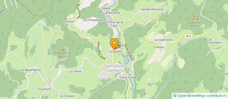 localisation de l'entreprise INDIVISION AULAS  SAINT VINCENT DE REINS