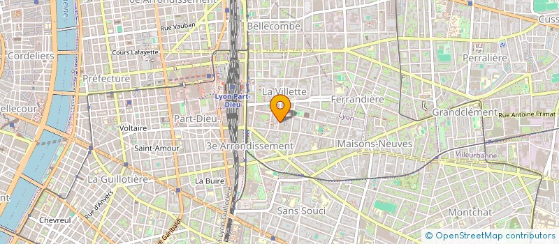 localisation de l'entreprise INDIVISION BARRIQUAUD GUERPILLON MICHAUD  LYON