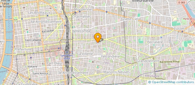 localisation de l'entreprise INDIVISION BAUMGARTEN TRONEL  VILLEURBANNE