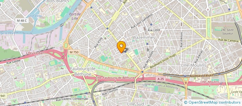 localisation de l'entreprise INDIVISION BAZIN DOMINIQUE GOLLIOT NATHALIE à LILLE