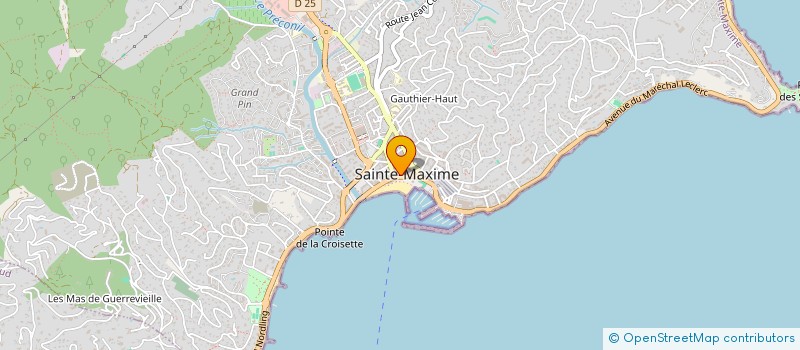 localisation de l'entreprise INDIVISION BEDICAM à SAINTE-MAXIME