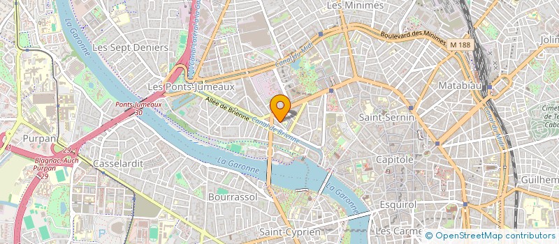 localisation de l'entreprise INDIVISION BERTHIER HENRI ET FREDERIC à TOULOUSE