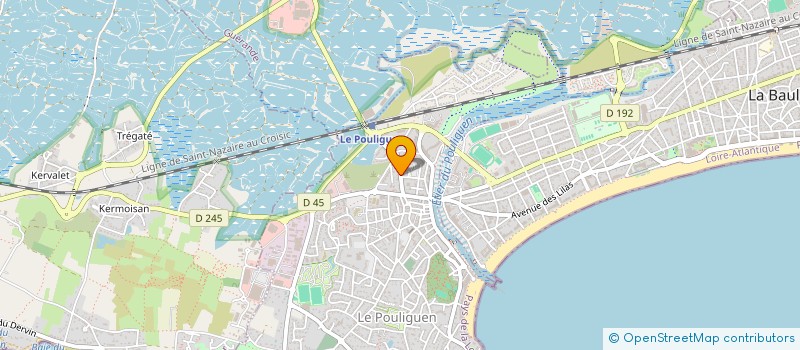 localisation de l'entreprise INDIVISION BIRON SAVARIEAU  REZE