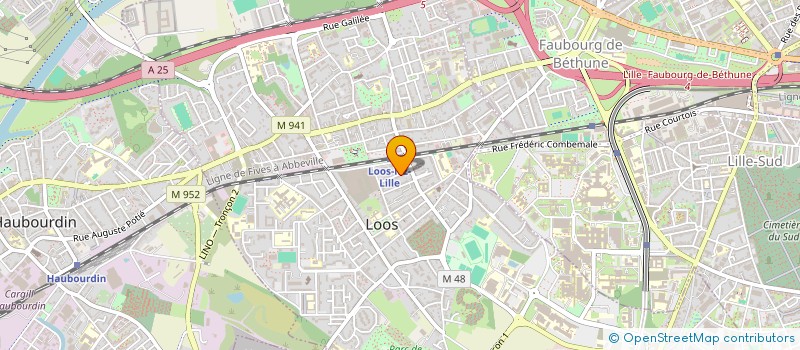 localisation de l'entreprise INDIVISION BISIAUX M'BENGUE  LOOS