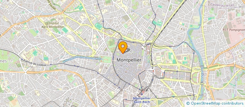 localisation de l'entreprise INDIVISION BORRAS à MONTPELLIER