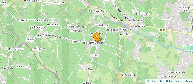 localisation de l'entreprise INDIVISION BOTTUSSI à SAINT-AMOUR-BELLEVUE