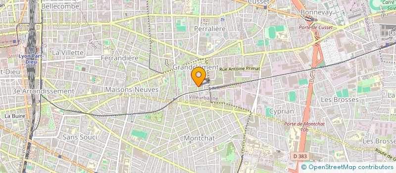 localisation de l'entreprise INDIVISION BOUDOT-DENIS  VILLEURBANNE