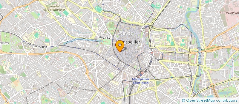 localisation de l'entreprise INDIVISION BOUQUET BOUDOURESQUES à MONTPELLIER