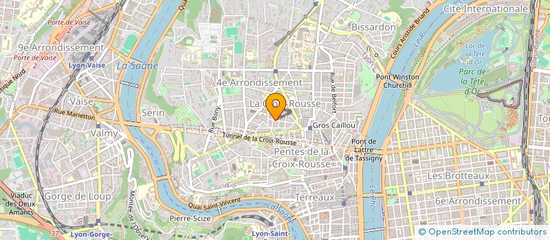 localisation de l'entreprise INDIVISION BRENIERE CILIA  LYON