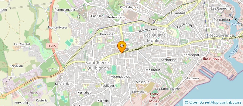 localisation de l'entreprise INDIVISION BUFFARD FRANCOIS - LEQUESNE BERENICE à BREST