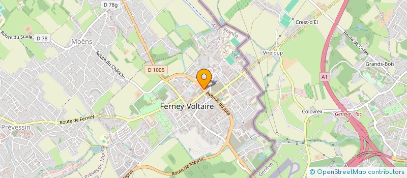 localisation de l'entreprise INDIVISION BUISSON DUPUY à FERNEY-VOLTAIRE