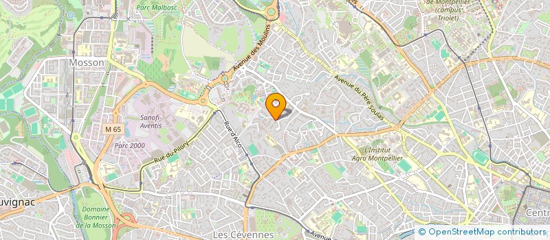 localisation de l'entreprise INDIVISION CAMARA à MONTPELLIER