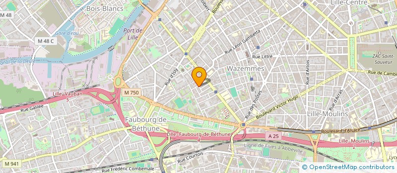 localisation de l'entreprise INDIVISION CASTAGNIE DE VINCENTE JOHNSON à LILLE