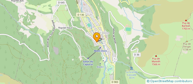 localisation de l'entreprise INDIVISION CHAUVIERE SANCY  MONT-DORE