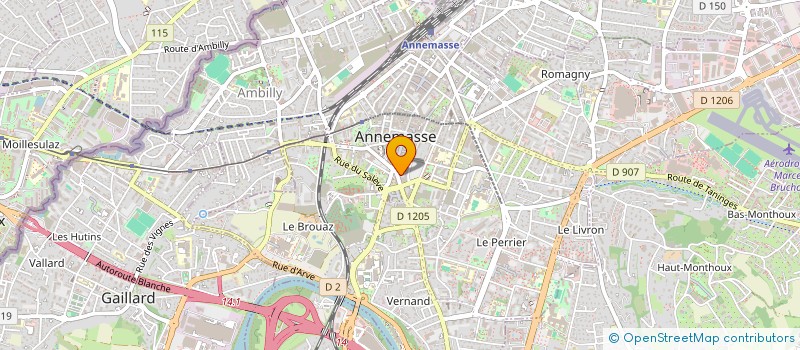localisation de l'entreprise INDIVISION CHOUKROUN HENRI ET ORIELLA P. à ANNEMASSE
