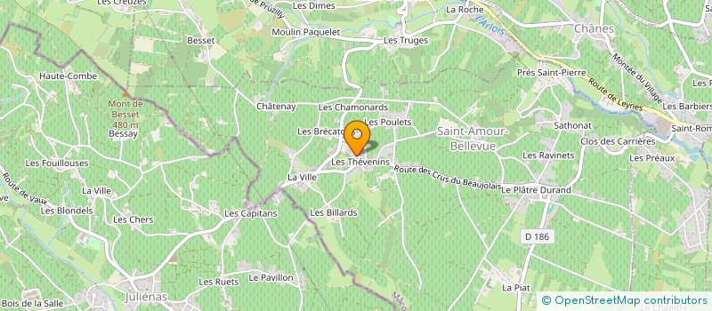 localisation de l'entreprise INDIVISION COMBEPINE GUICHON à SAINT-AMOUR-BELLEVUE