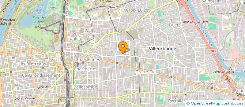 localisation de l'entreprise INDIVISION COUDON ET ANTOINE  VILLEURBANNE