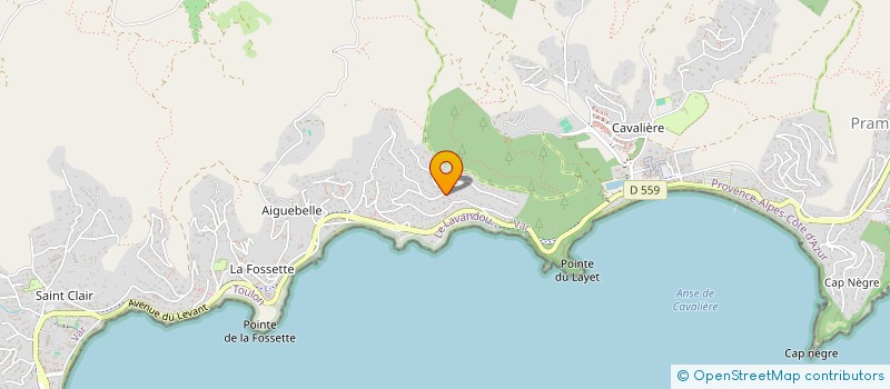 localisation de l'entreprise INDIVISION CROUZIER - LAUNAY - GUEZ à LE LAVANDOU