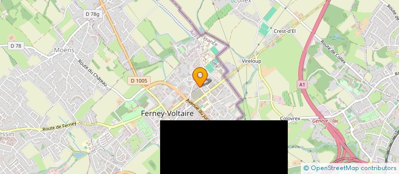 localisation de l'entreprise INDIVISION CURNIER FRANCOIS ET LAURE à FERNEY-VOLTAIRE