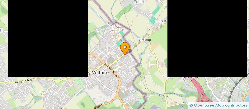 localisation de l'entreprise INDIVISION DA SILVA VALENTE - BURRY à FERNEY-VOLTAIRE