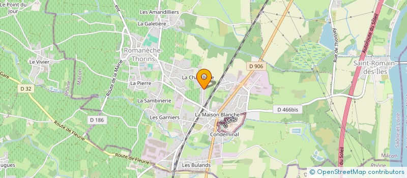 localisation de l'entreprise INDIVISION DANELUZZI à ROMANECHE-THORINS
