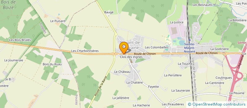 localisation de l'entreprise INDIVISION DARGENTON DOUCET  SAINTE-MAURE-DE-TOURAINE