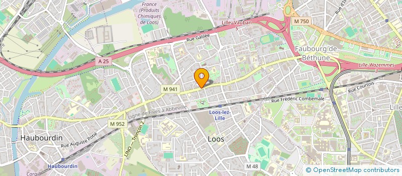 localisation de l'entreprise INDIVISION DASSONVILLE/ CAPPELAERE  LOOS