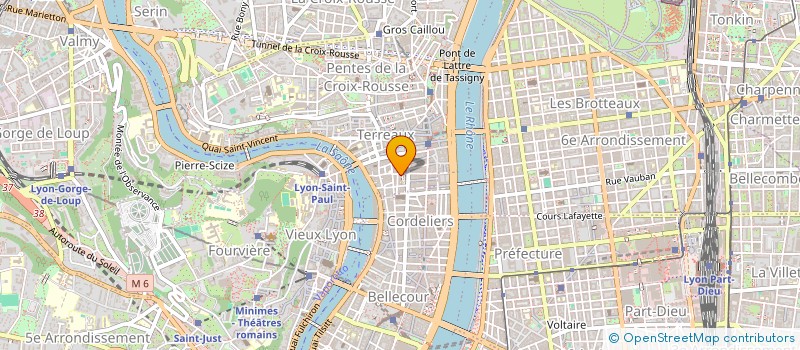 localisation de l'entreprise INDIVISION DAVID DAUVERGNE à LYON