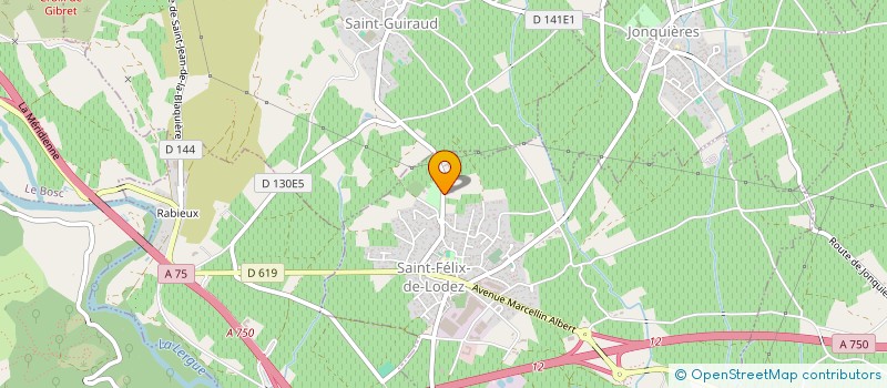 localisation de l'entreprise INDIVISION DE RICARD  SAINT-FELIX-DE-LODEZ